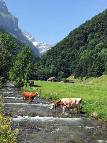 To Aescher restaurant: Where the Ebenalp cable car begins. And it just gets prettier.