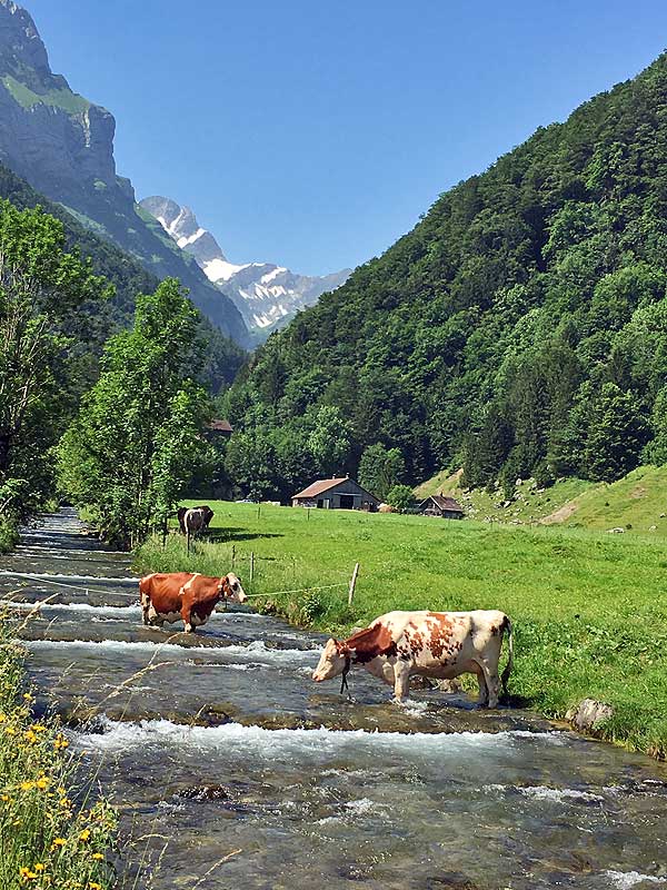 Picture-perfect Appenzell.