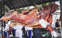 A bull roasting.