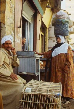 Cairo vendors