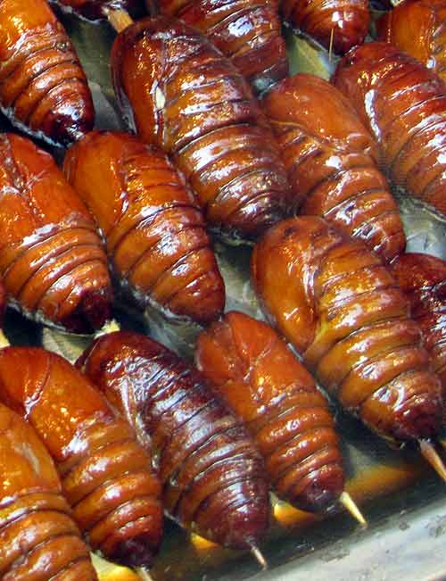 Beijing street food; Candied larvae