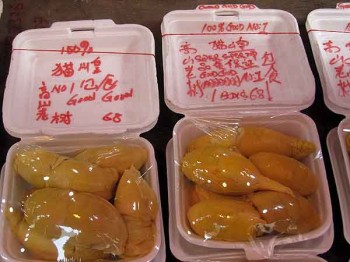 The price of this durian is the equivalent of U.S. $54.