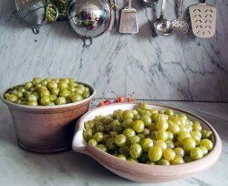 Gooseberries