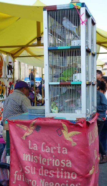 Street crime in Guatemala City