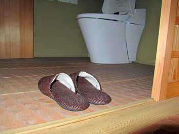 Japans shoe rules; Japans shoe rules: Slippers for our own tiny toilet room only.