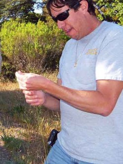 Hot to catch a lizard. Ty strips a single stalk of grass.