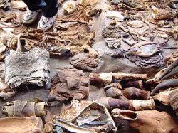 Medicinal plant and animal parts, plus human feet. Be glad this photo isn't larger!