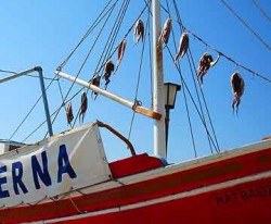 A boat flies signal flags that spell out dinner.