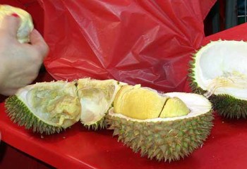 Number-one quality premium durian costs a small fortune.