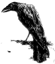 The Raven, twisted to my pleasure. Thanks, Edgar Allan Poe.