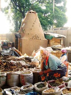 Another sangoma and consultation room.