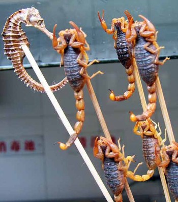 Beijing street food: Scorpion snack