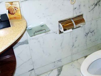 Toilet phone shelf