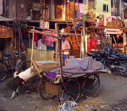 Morning in Colaba, Mumbai