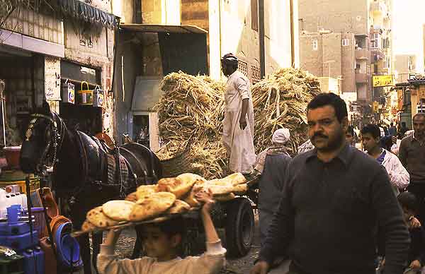 Egyptian street