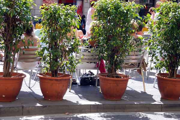 Bag snatch cafe. The chained trees won't be stolen, but the bags under the chair will be.